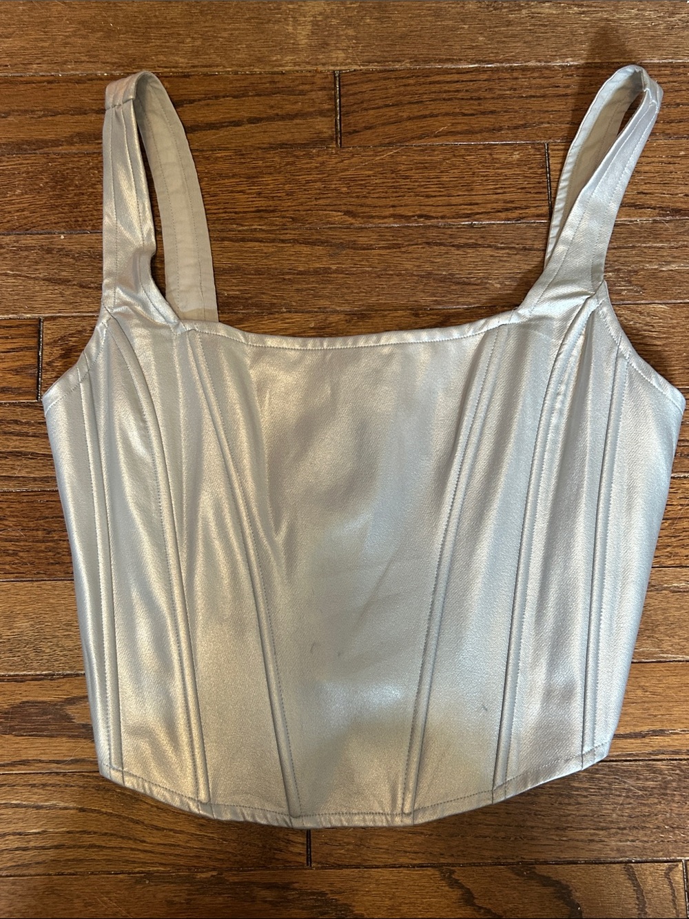 Anthropologie Metallic Silver Corset-Style Camisole